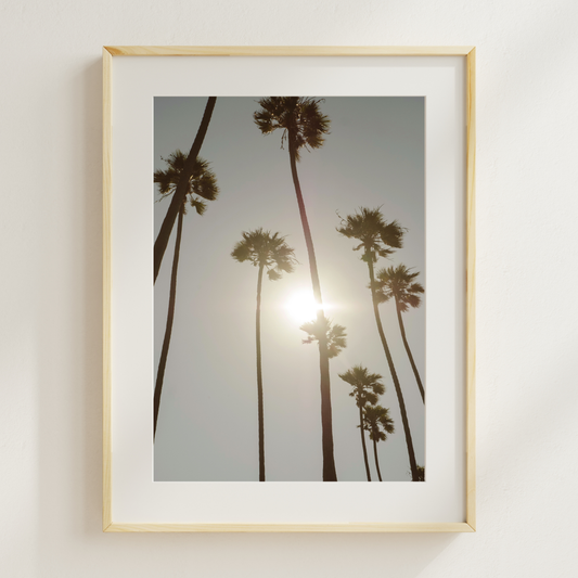 Prints for Los Angeles  │  AMANDA VILLAROSA (3/4)