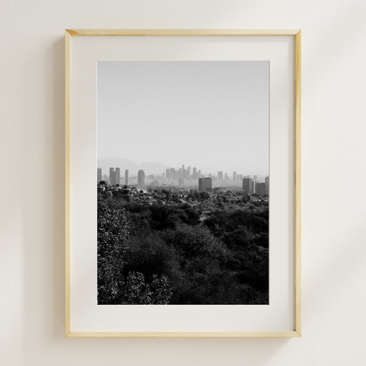 Prints for Los Angeles  │  AMANDA VILLAROSA (4/4)