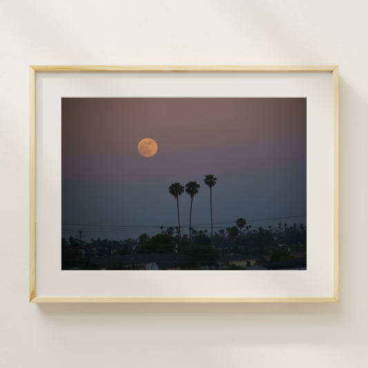 Prints for Los Angeles  │  DARNELL SCOTT (3/3)